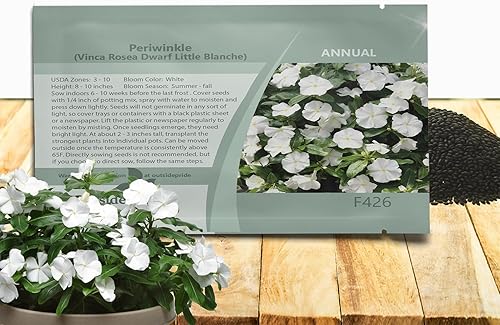 Outsidepride Semillas de bígaro blanco para plantar, 4000 unidades, anuales, de floración rápida, tolerantes al calor y a la sequía con colores