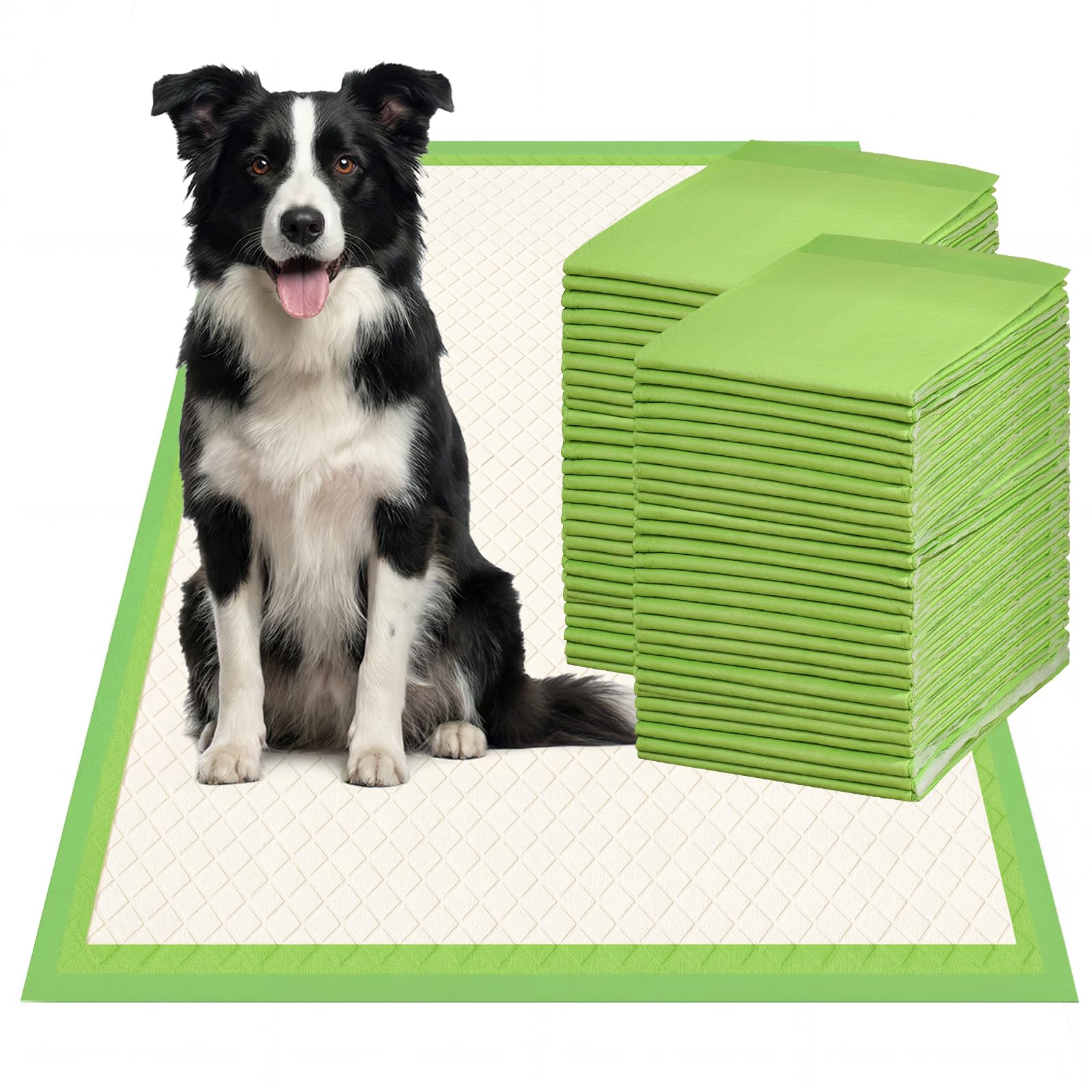 Tapis absorbant pour chien Gardner Pet 60x90 cm x30