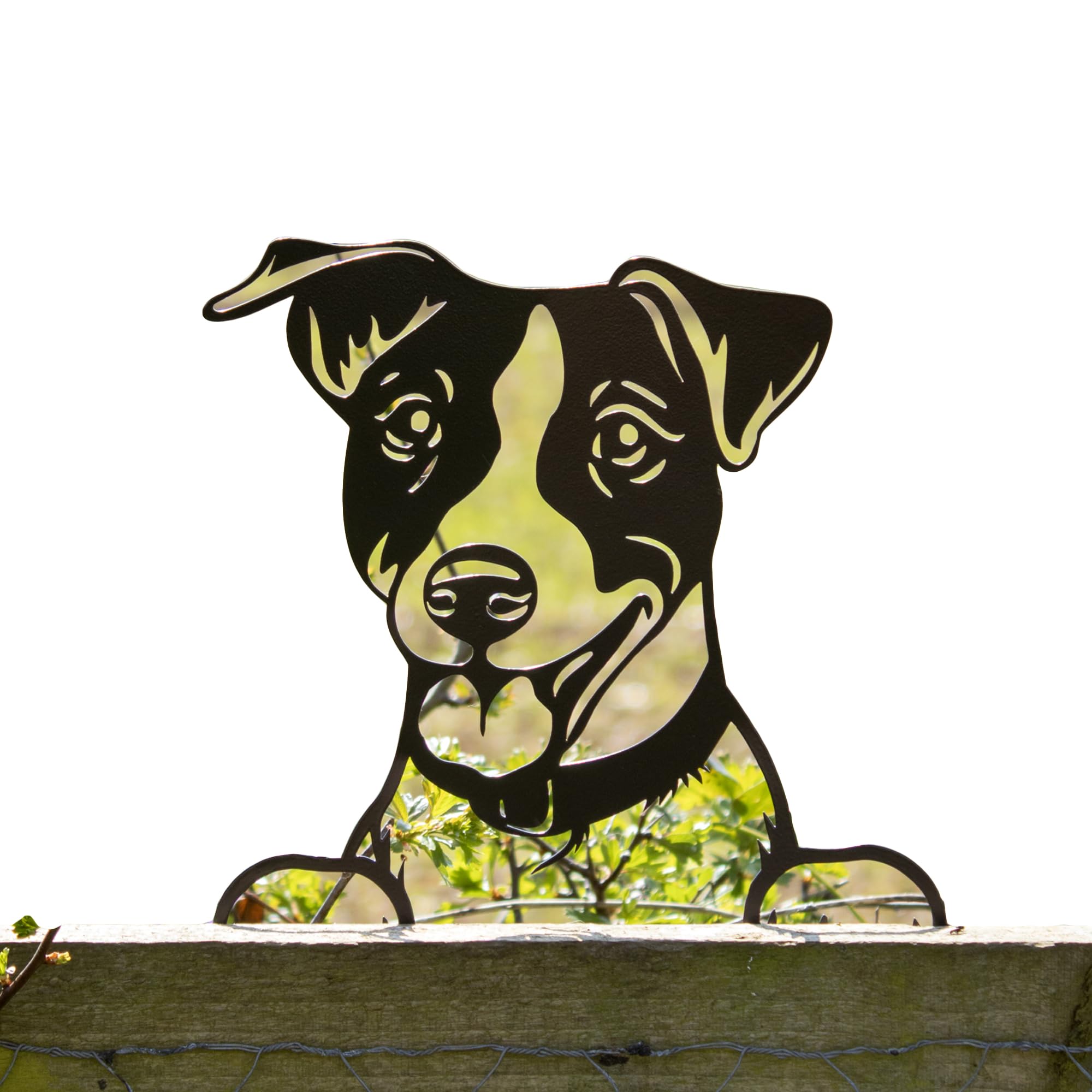 Peeking Jack Russell Fence Topper 32x21cm Black Metal Large Dog Silhouette Garden Decor
