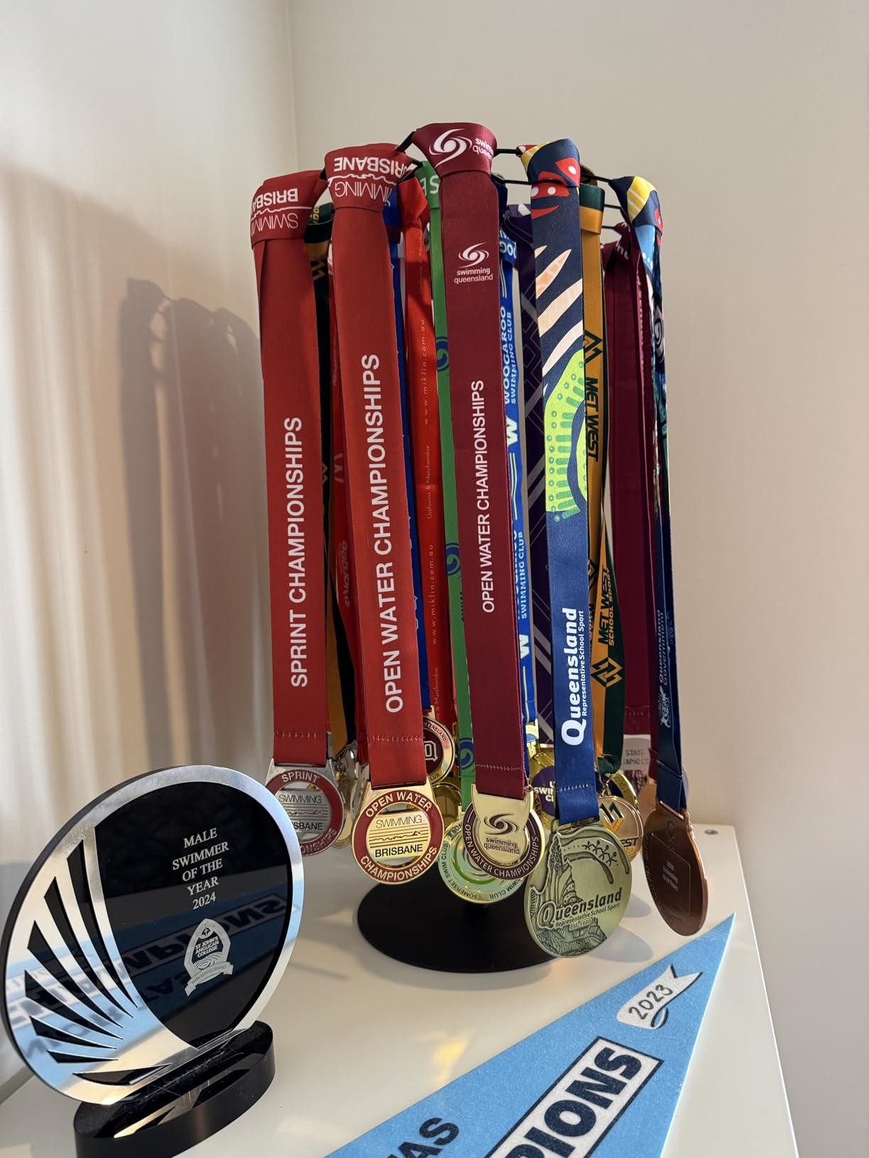 Goxfaca Rotatable Medal Hangers Display Metal Medal Rack Tabletop Easy ...