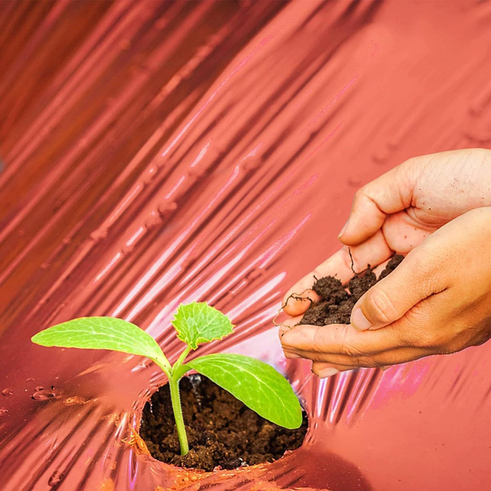 Pacciame per giardino, pacciame per orto - Piantare pellicola di pacciamatura rossa - Pacciame artificiale antierba, pellicola per pacciamatura, pellicola per coltivazione di colture agricole per la s