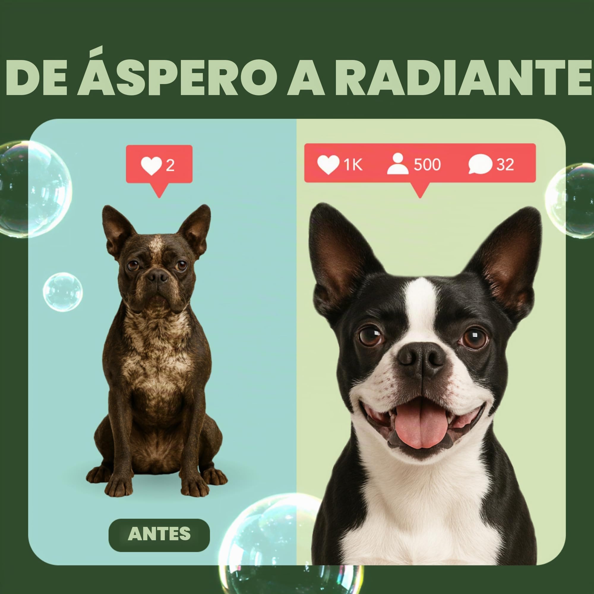 TropiClean Champú para Mascotas - Alivio Medicado de la Picazón - Exfolia, Humecta, Alivia la Piel y el Pelo Seco I Para Perros y Gatos I Sin Parabenos, Colorantes, Jabón - Avena y Árbol de Té, 3,78 L