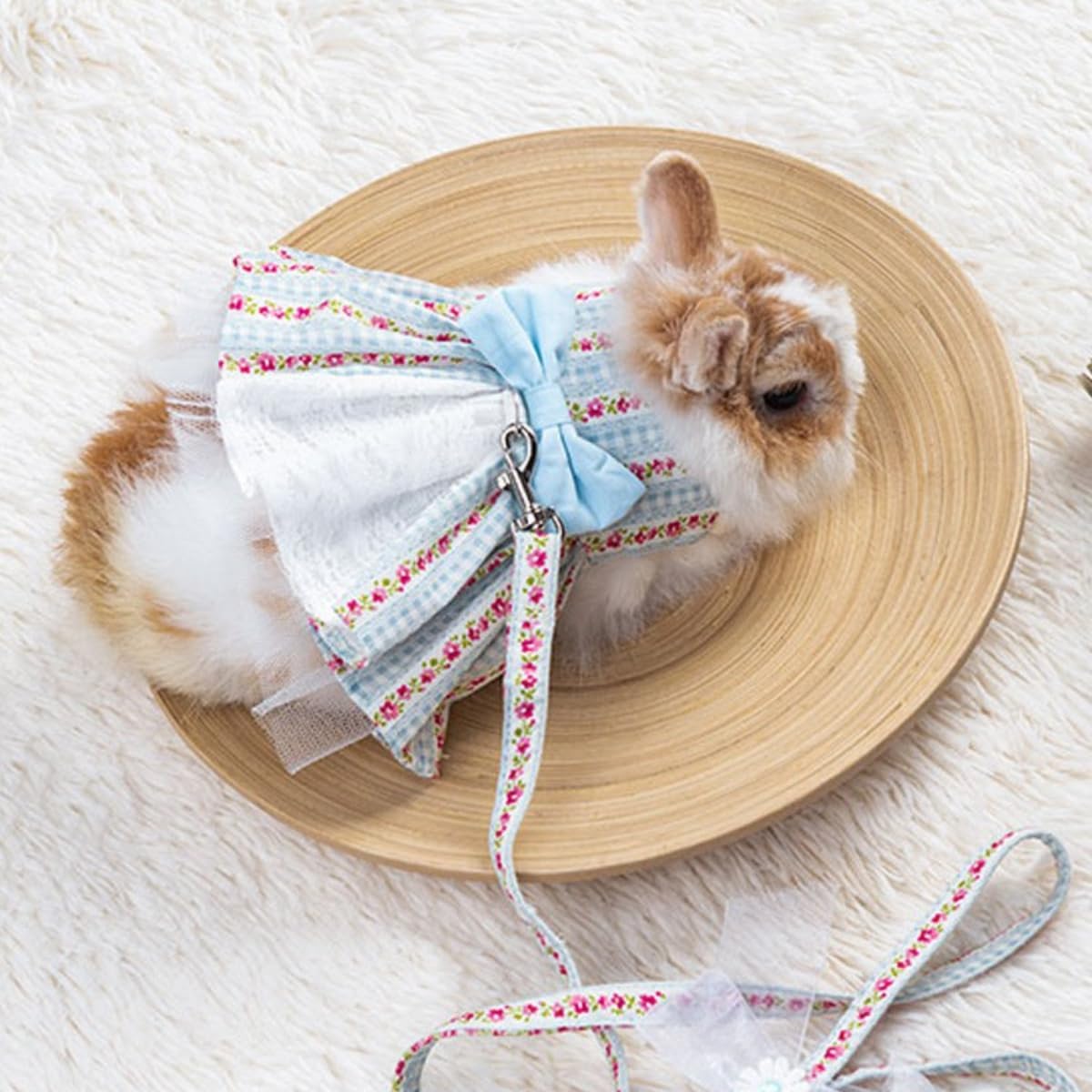 Rabbit Harness and Leash - Bunny Harness Escape Proof for Walking Runnig Hiking Camping Outdoor,Cute Small Animal Harness Leash Set (Blue,L)