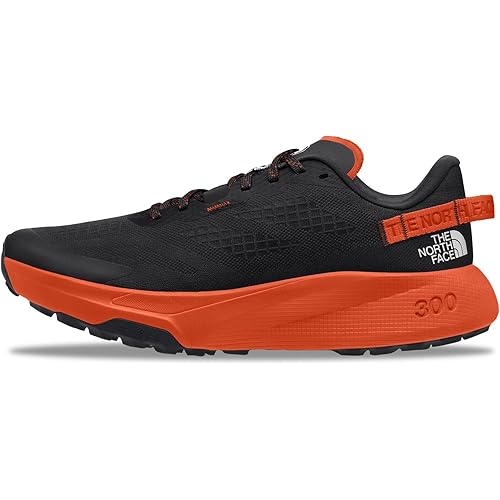 THE NORTH FACE Men's Altamesa 300 Trail Running Shoe | Lightweight, High Rebound Midsole, Roomy Toe Box