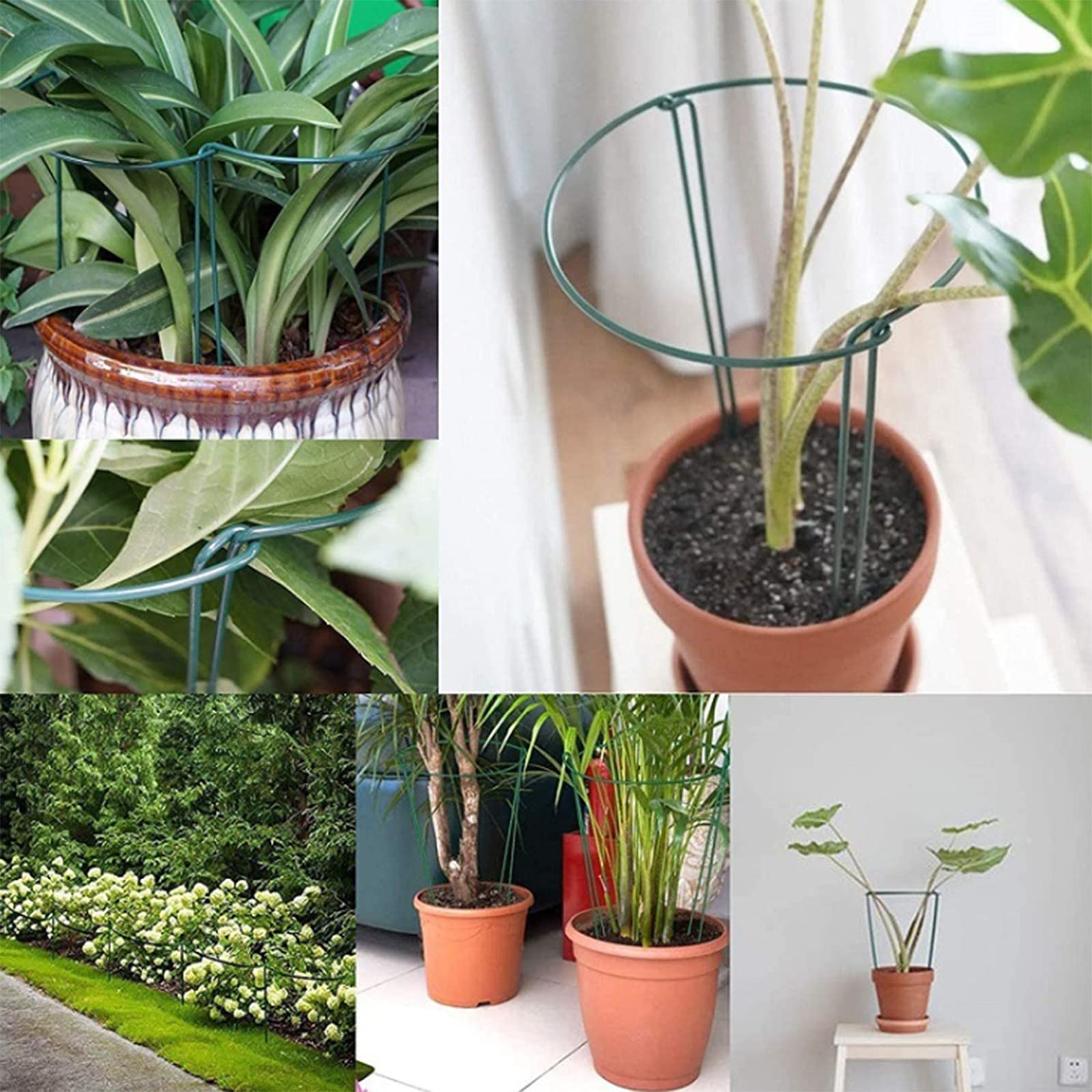 Tuteur Plante, Demi Rond Cage à Plantes, Supports De Fleurs en Métal Bordure, Piquets de Culture Intérieur, 35 * 21CM, 4 Pièces