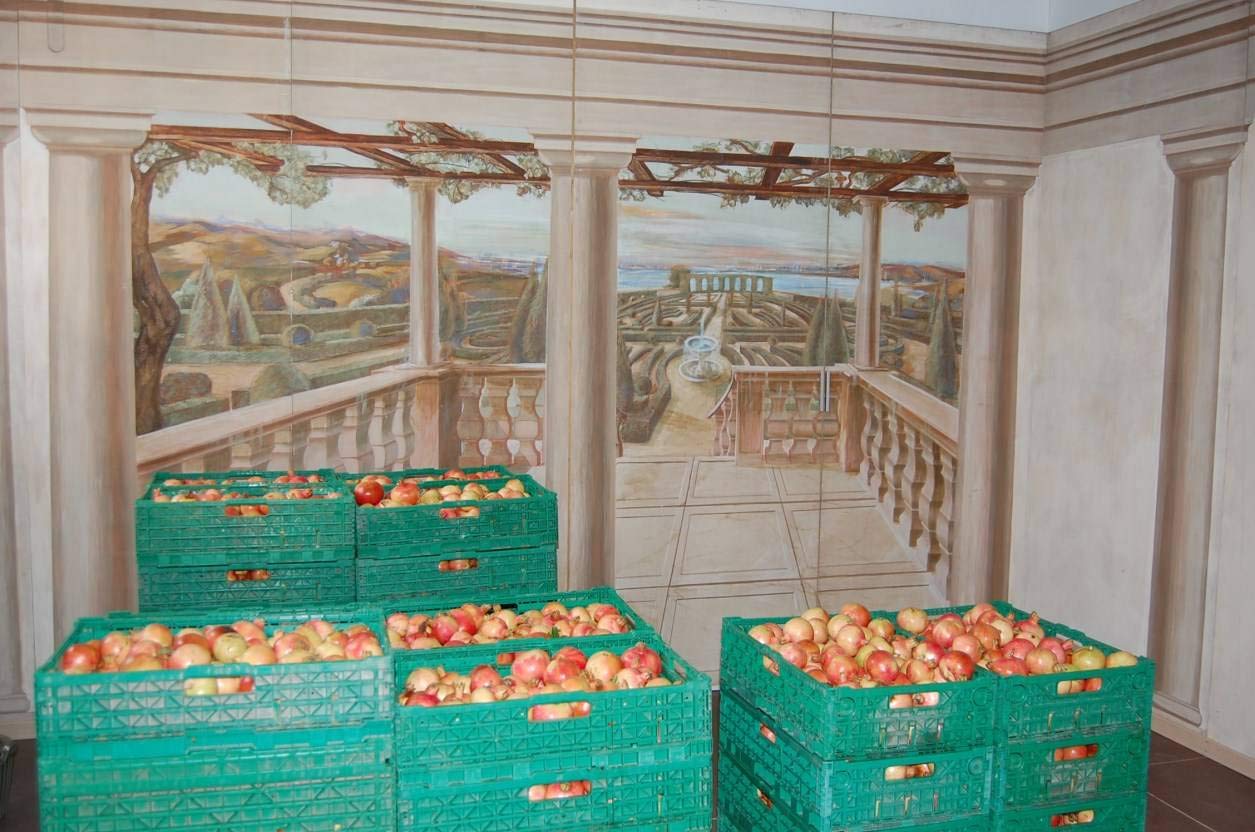 Vinagre de granada agridulce natural con acetificación espontánea lenta