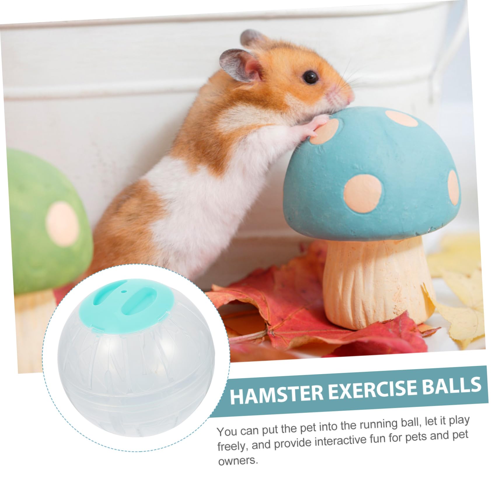 ORFOFE 4stücke Hamster Exercise Transparente Laufkugeln Für Aktive Haustiere Langlebige Spielzeuge Für Hamster Und Kleine Tiere Für Indoor-Training Und Fitness