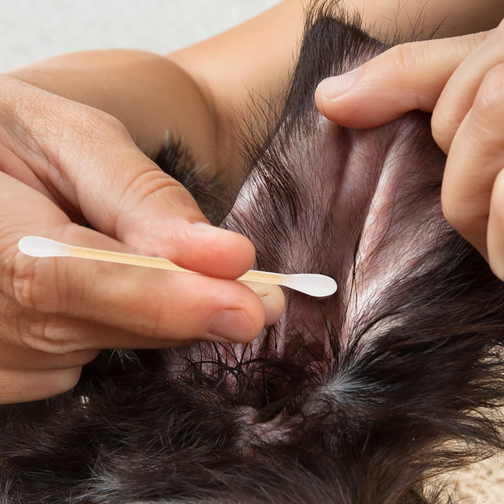 HAPINARY 1200pcs Eyelash Cleaning Sticks Small Cotton Swabs Disposable Makeup Tools for Beauty Eyeliner Cleaning