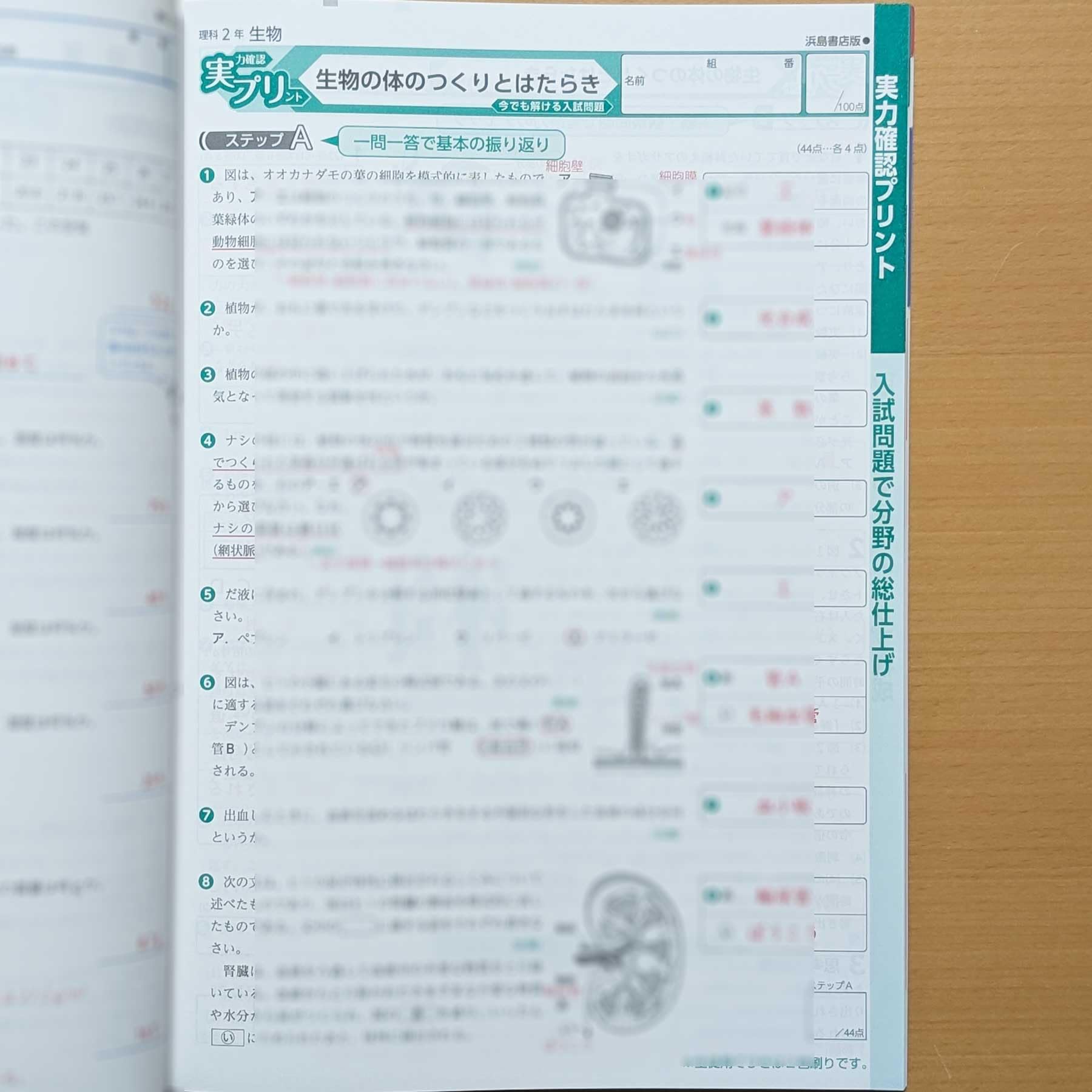 解答書込無し 基礎トレ6年 2021年度版 解答書込無し 基礎トレ6年 2021
