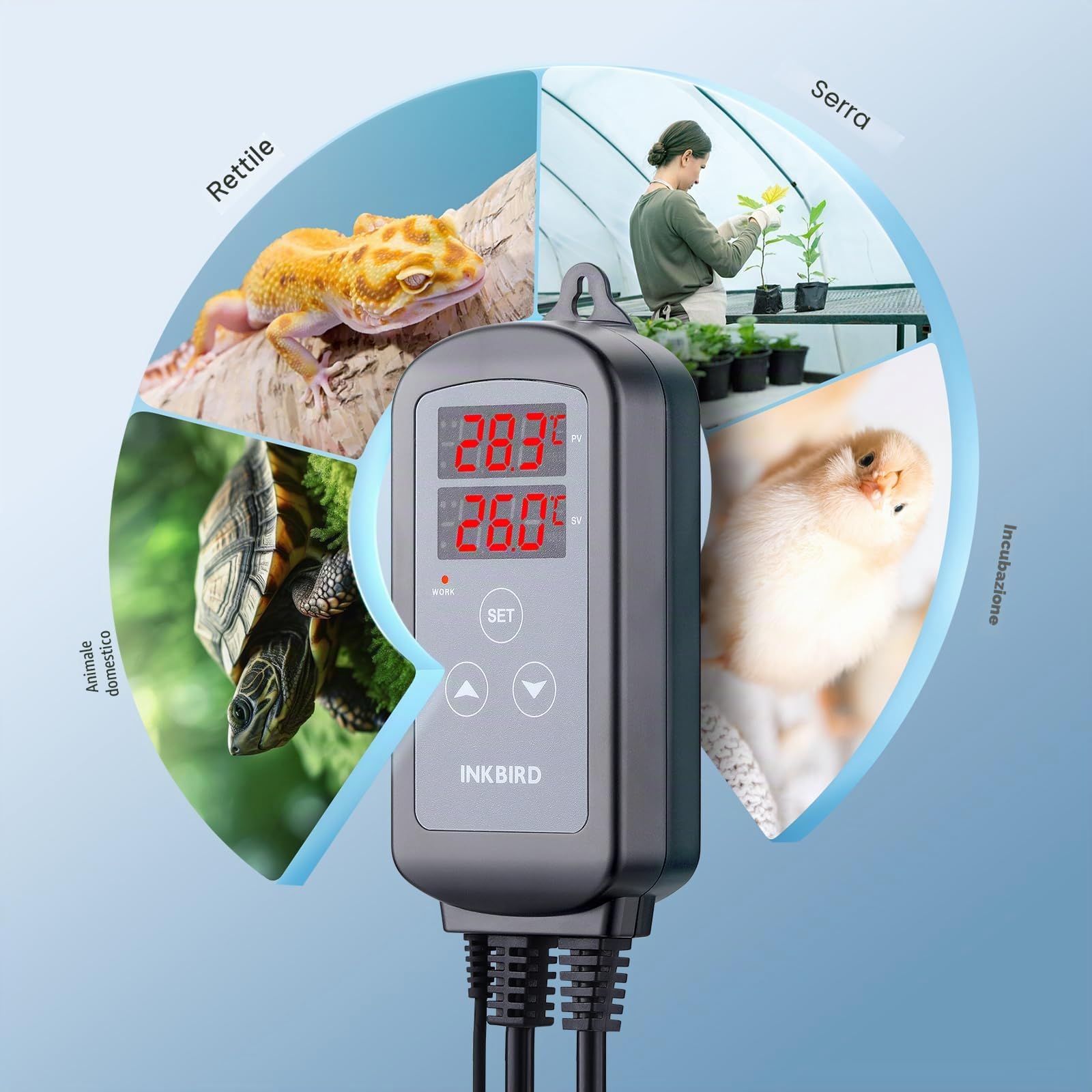 Inkbird ITC-2T Termostato Controllo Digitale,Termoregolatore Doppia Prese di Riscaldamento,Timer Ciclo Giorno-Notte,Funzione di Allarme,Regolatore di Temperatura per Terrarium,Serre,Rettili