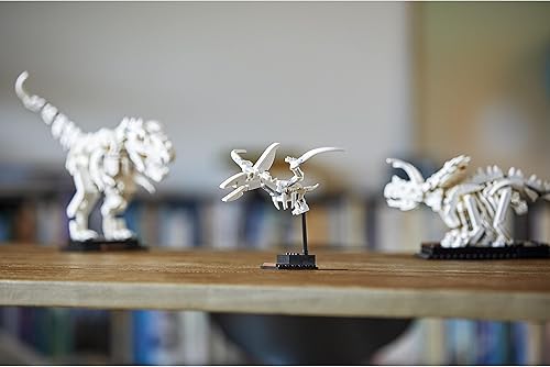 Miniatura 12 de LEGO Ideas Fósiles de Dinosaurio Modelo Coleccionista 21320 Exhibición del Museo de Historia Natural; Juguete de construcción