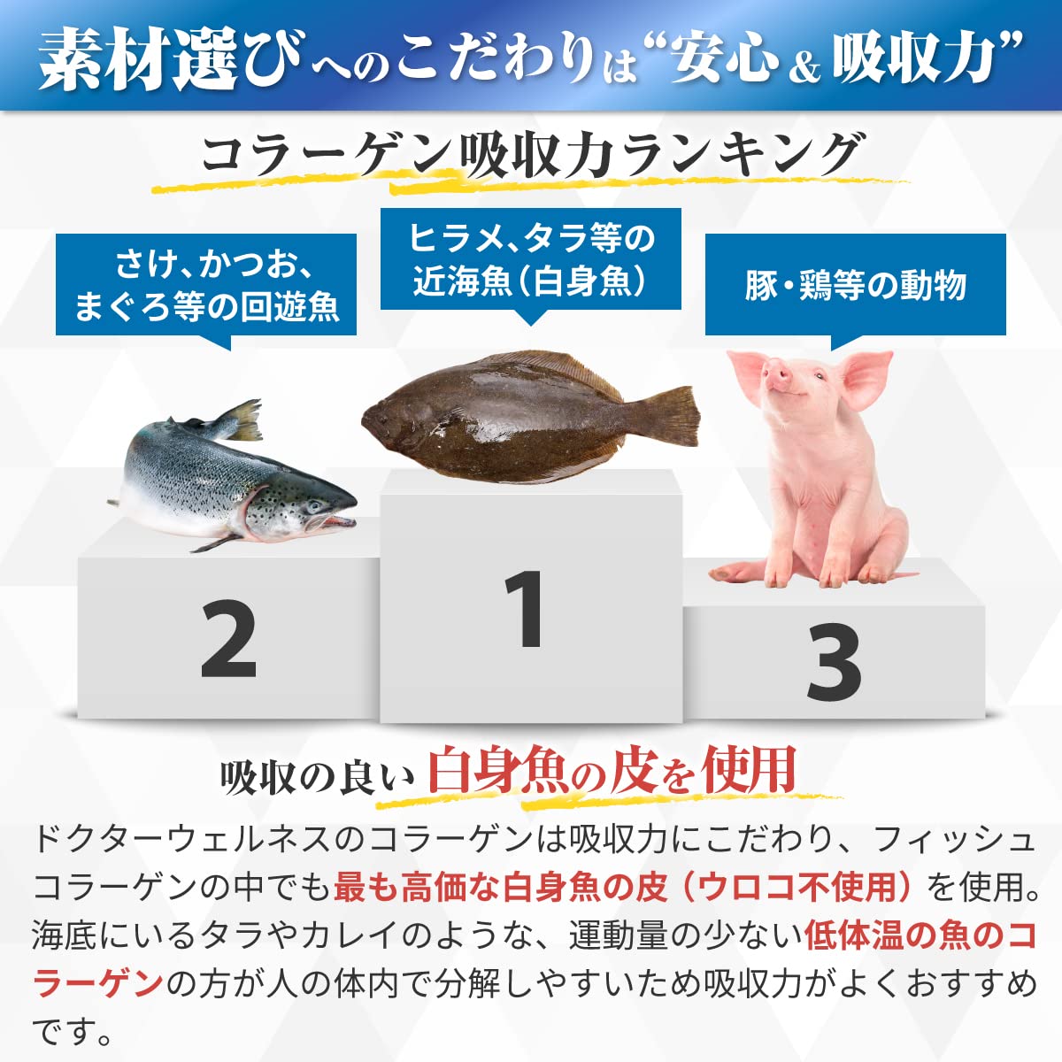 Amazon | 正規代理店 ドクターウェルネス ナチュラルマリンコラーゲン 