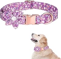 Vista 8 de TDTOK Collar de Perro para Niña para Perros Pequeños, Medianos y Grandes, Lindo Collar de Perro con Hebilla de Metal de Seguridad con Flor