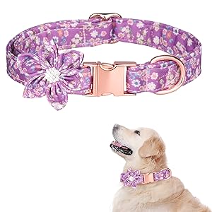 TDTOK Girl Dog Collar with Detachable Flower, Safety Metal Buckle Floral Pattern Soft Comfy Cotton Pet Collars for Small Medium Large Dogs, Fit Necks 10.2-23.6