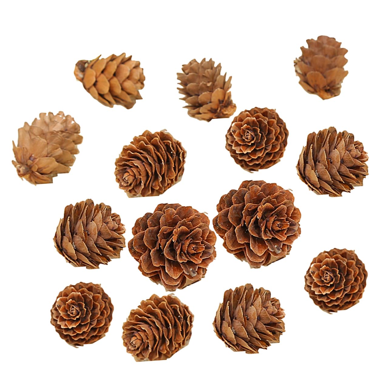 PRETYZOOM 210 Piezas Piñas de Decoraciones Naturales Hogar Piñas Secas para Acción de Gracias y Navidad