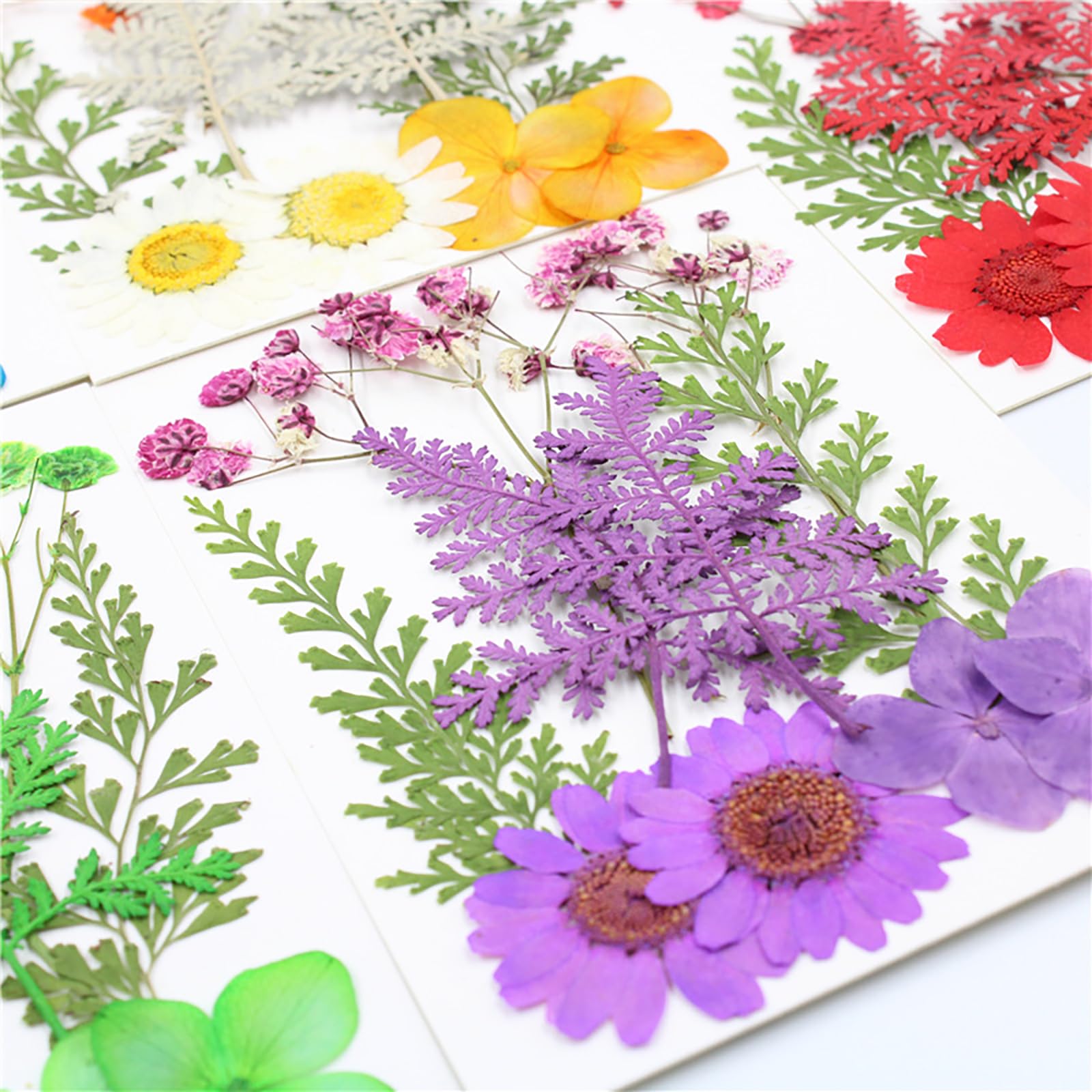 6 sztuk, sprasowane kwiaty, naturalne suszone kwiaty, materiał do rękodzieła, suszone kwiaty nadające się do okładek na telefony, ramek, wyrobu mydła, scrapbookingu