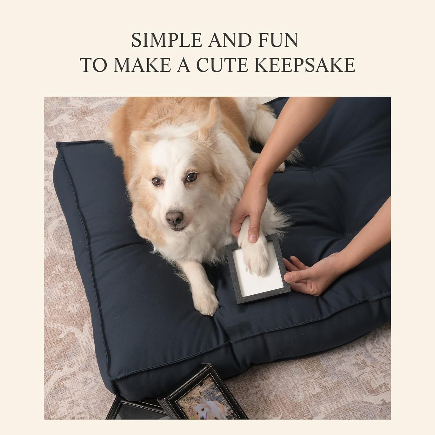 PCS Paw Print Kit - Keep Your Pet's Memory with Paw Print Mold - Available for Dogs and Cats - Image 4