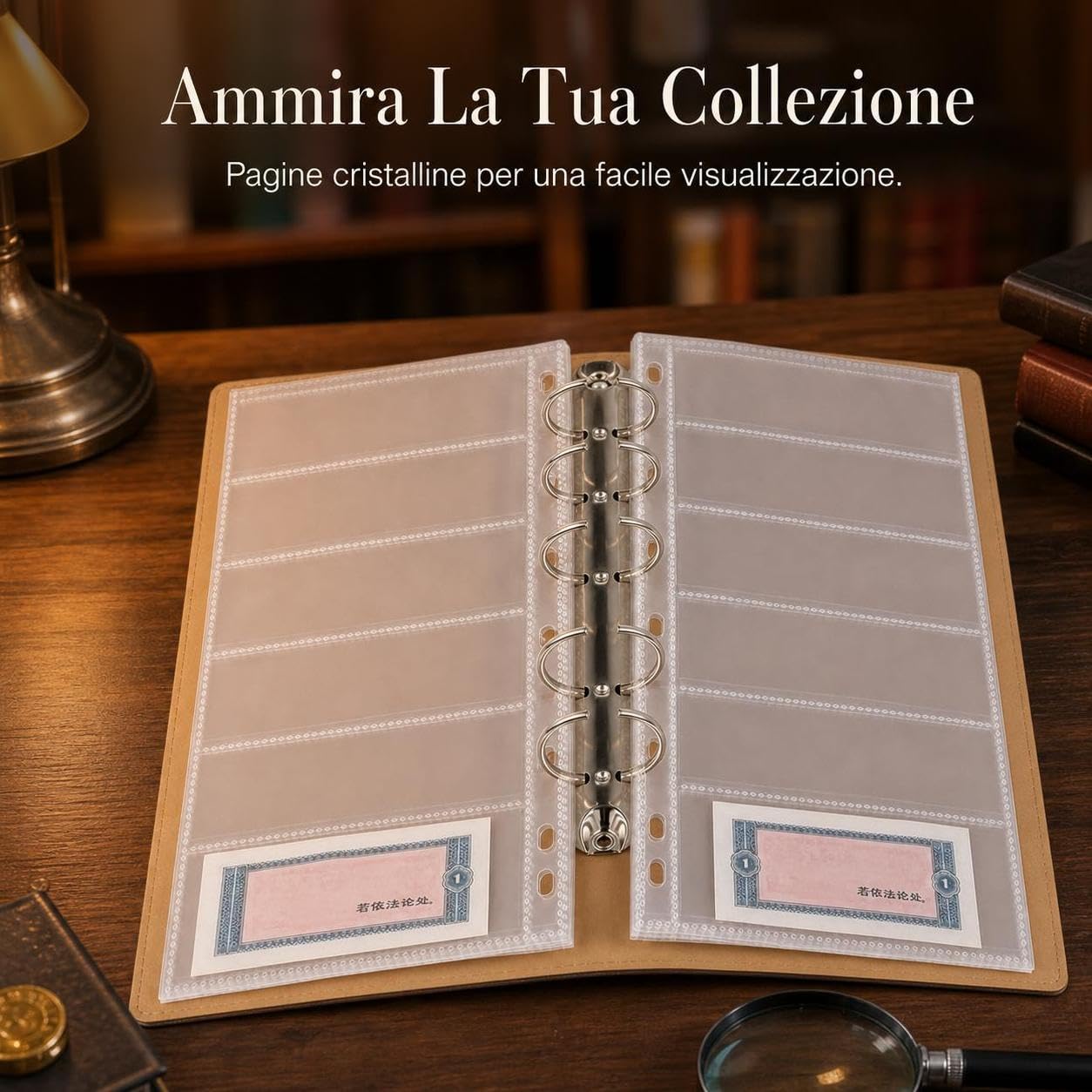 Album Collezione Francobolli Alimentari, size to 3 | mobili interni, Raccoglitore Francobolli, Organizzazione Collezioni, Per Collezionisti Novizi