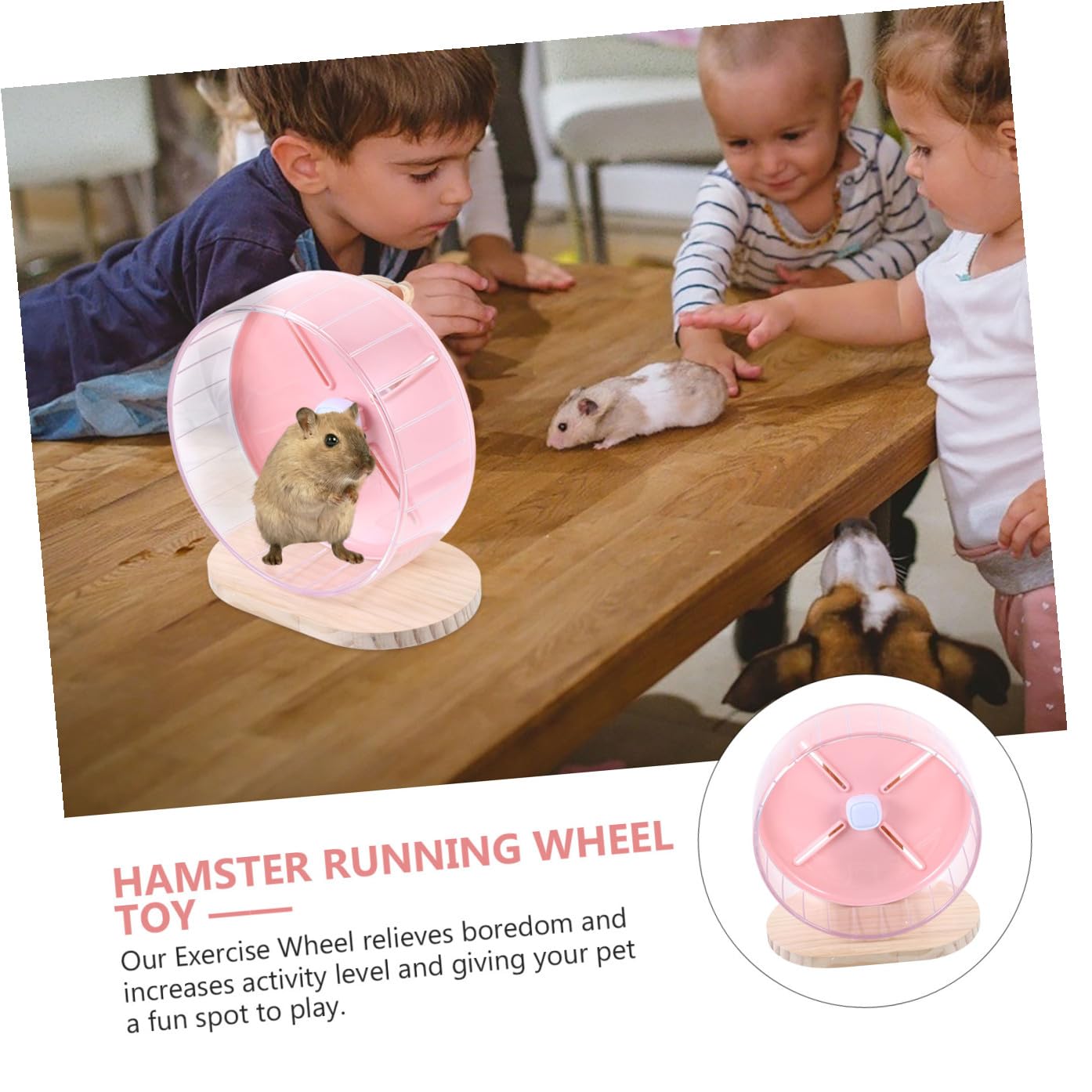 1 Ensemble Roue Silencieuse pour Hamster Accessoire Compact avec Support pour Rongeurs Couleur Rose pour Chinchillas et Favorise Animaux