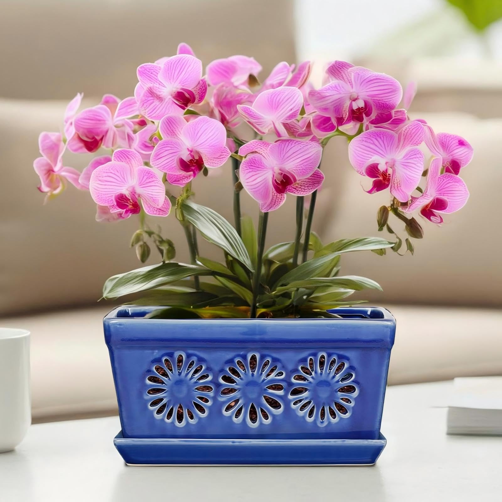 EFISPSS 25,4 cm Orchideentopf, Keramik-Orchideentöpfe mit Löchern, Indoor-Blumentöpfe mit Drainage und Untersetzer, Pflanztöpfe verbessern gute Belüftung, Blau