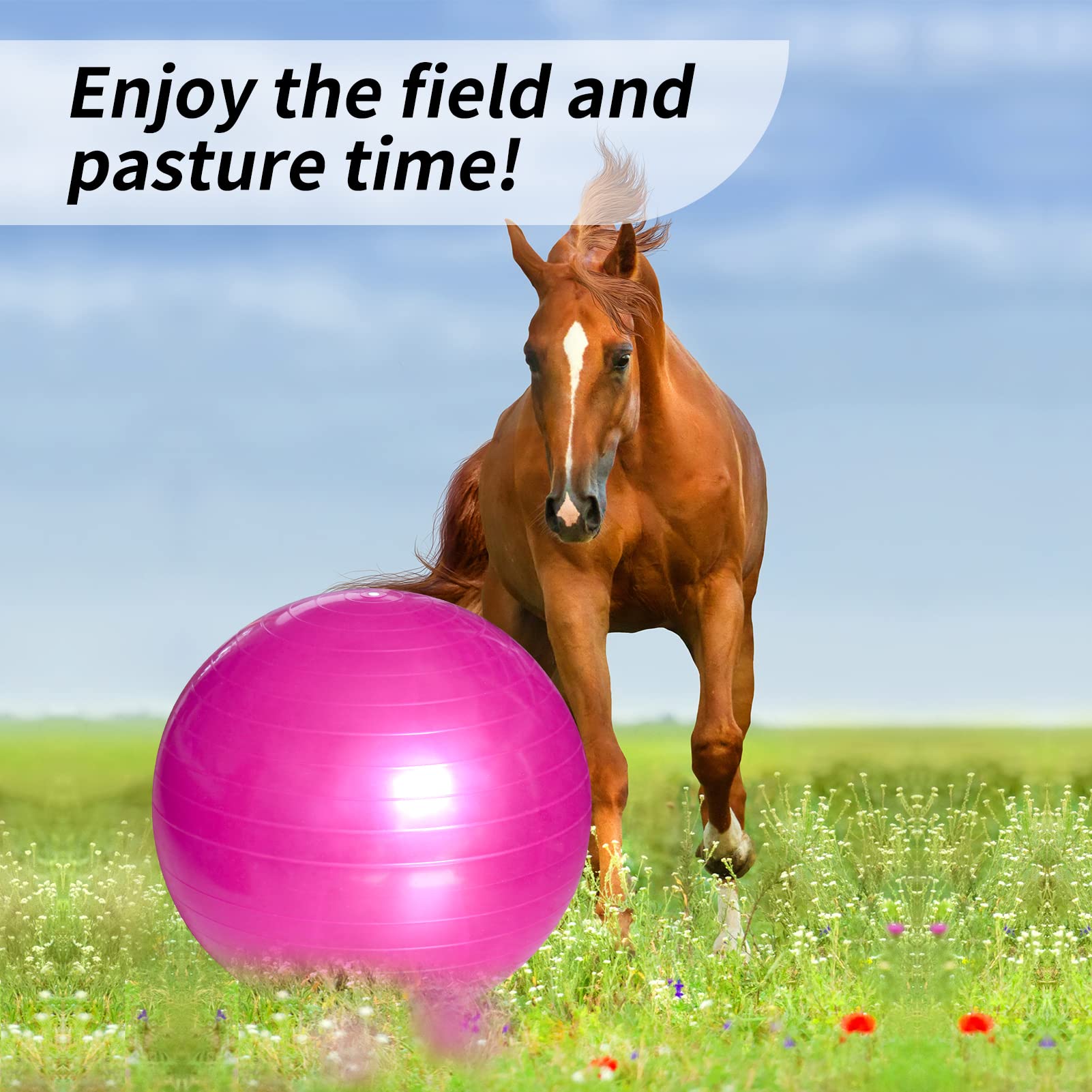 Pelotas de juego de caballos de 30 pulgadas, Mega pelota equina para entrenamiento de caballos, pelota de fútbol, pelota de pastoreo antiexplosión, para caballo, cabra, burro, rosa
