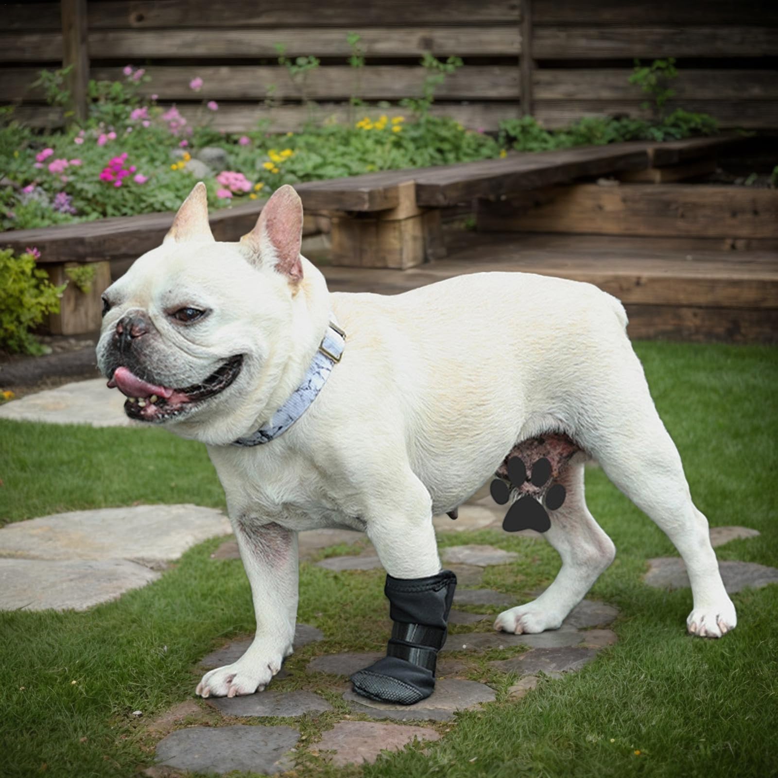 Dog Paw Wound Cover - Pet Waterproof Foot Covers | Claw Shoe Covers | Adjustable Dog Boots for Injured Paws | Breathable Four-Legged Claw Shoe Covers | Non-Slip Dog Injury Protection C