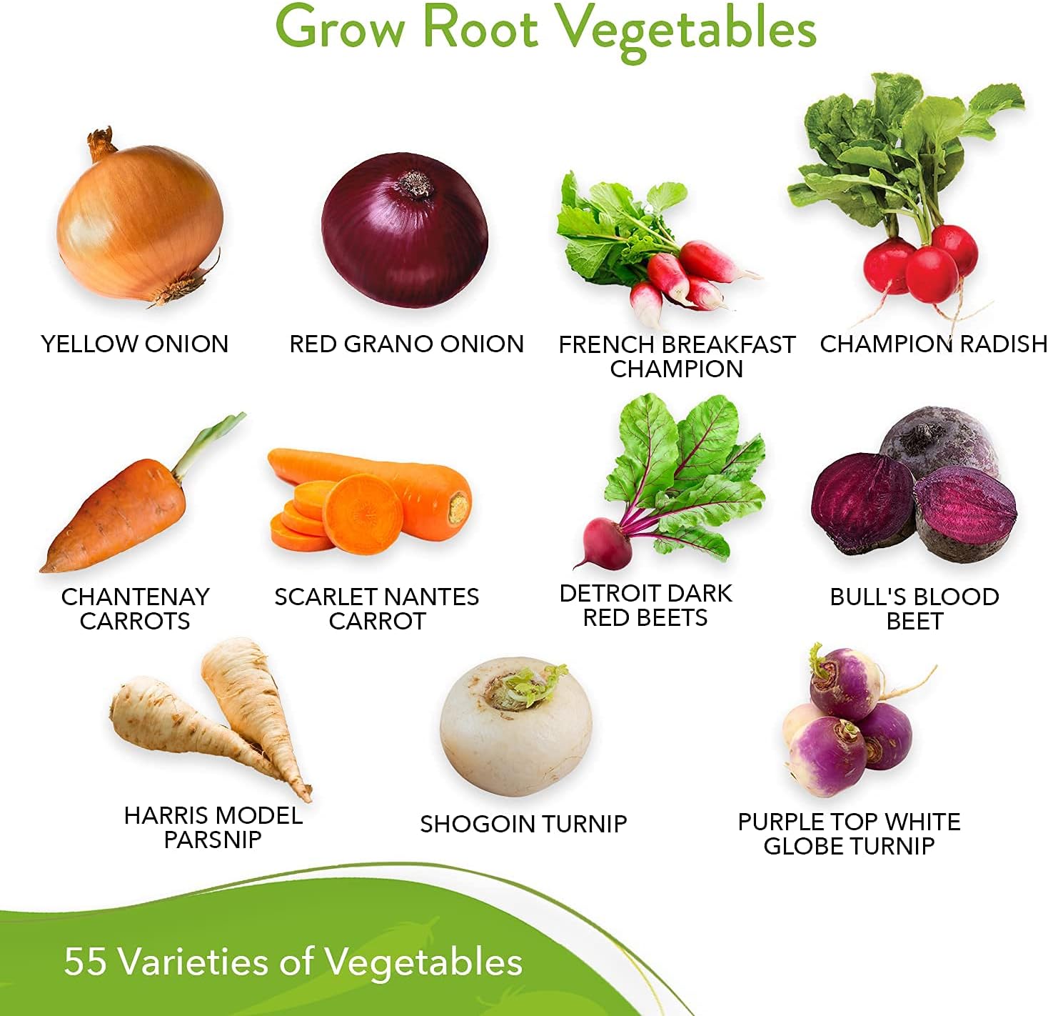 Heirloom Vegetable Seeds - 25,300+ Seeds - 55 Variety of Non GMO Vegetable Seeds for Planting Home Garden, Homestead and Survival Gardening Seeds - Seeds for Planting Fruits and Vegetables : Patio, Lawn & Garden