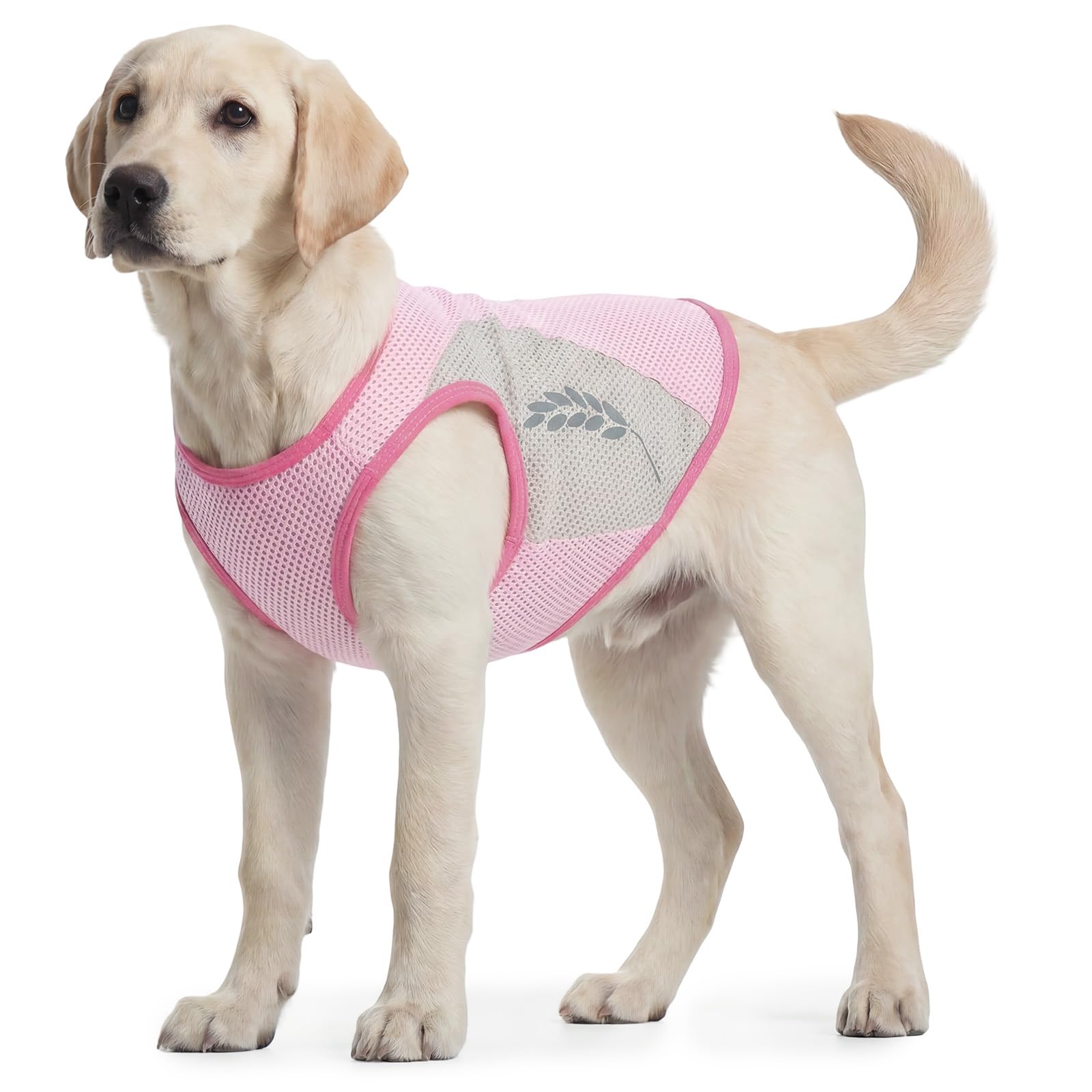 Dog Cooling Jacket, Quick-Dry Wet Coat Breathable Mesh Dog Summer Clothes Light Weight Cool Shirt With Reflective Strip(Pink, 9XL)