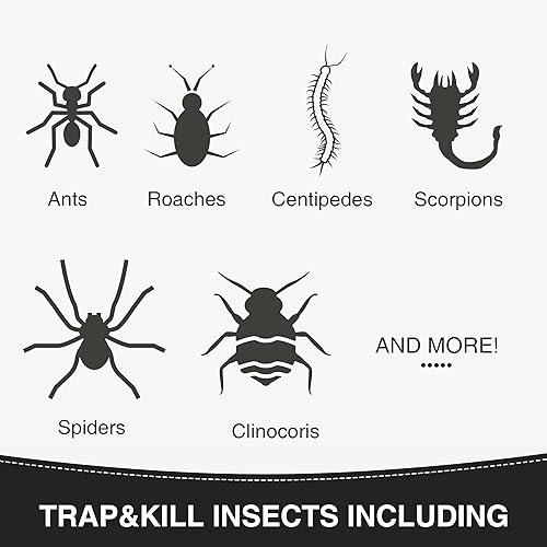 Miniatura 2 de Qualirey Trampas para insectos para interiores, con aroma a mantequilla de maní mejorada, 10 piezas más grandes para insectos, hormigas, arañas,