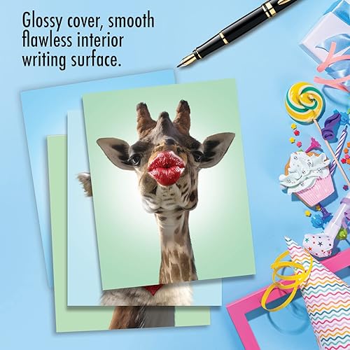 Miniatura 5 de The Best Card Company Juego de 20 tarjetas de cumpleaños surtidas de 4 x 5.12 pulgadas con sobres (10 diseños, 2 de cada uno) Wild Kisses