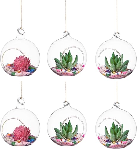 6 piezas 3.9 in bola de vidrio colgante terrario vela té soporte luz planta de aire DIY esfera redonda bola 3.9 pulgadas