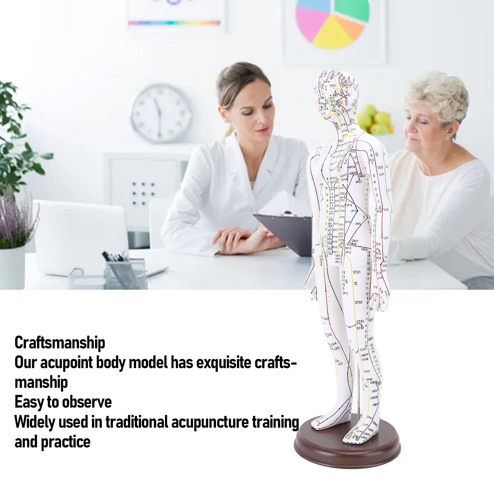 Muñeca de Acupuntura de 52 Cm / 20.47 Pulgadas, Modelo de Acupuntura del Cuerpo Humano, Acupuntura del maniquí de Acupuntura Masculina/Femenina Modelo de Acupuntura con Base,