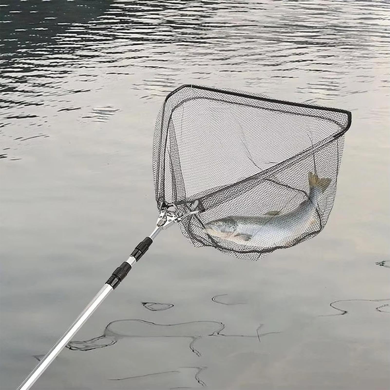 Red de pesca con mango telescópico, ajustable, resistente al desgaste | Accesorios plegables para actividades de pesca al aire libre