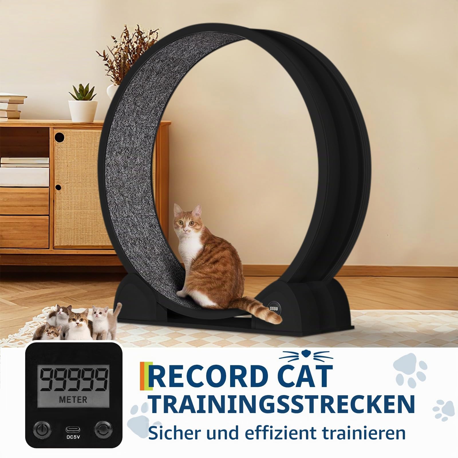 Katzenlaufrad, 114cm Laufrad mit Schrittzähler & Kratzbrett für Indoor-Katze, Super Leise Laufband mit abnehmbarem Teppich, Katzenrad für Kleines Mittel Großes Katze Gewichtsverlust & Gesundheit - Sch