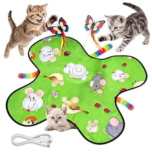 Interactive Cat Toys for Indoor Cats, 3-in-1 Interactive with Fluttering