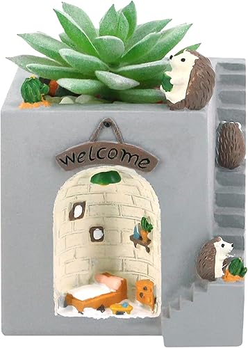 Vista 7 de Segreto - Macetas creativas para plantas suculentas, contenedor de pinceles, decorativas para escritorio, jardín, sala Familia de fuentes Hedgehog