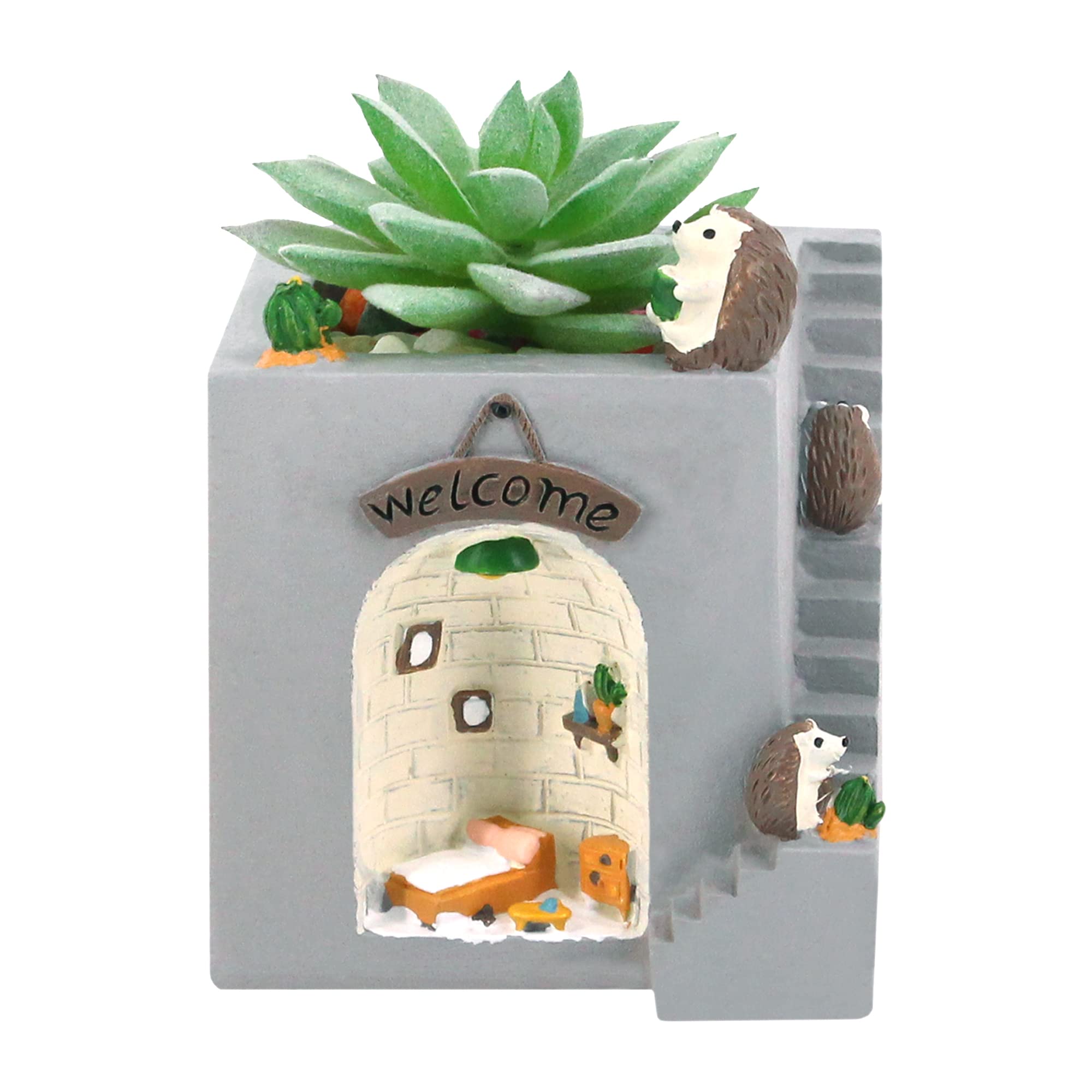 Éviter le pourrissement des racines avec ce pot de fleurs escalier pour plante succulente