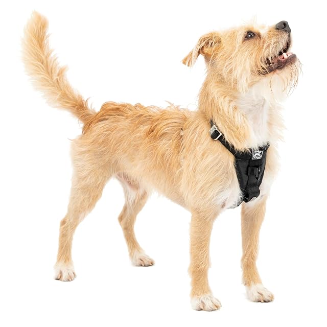 Kurgo Arnés para Perro Tru-Fit - Collar de Paseo para Perros