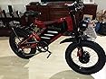 RZOGUWEX Elektrofahrrad, 20 Zoll 160NM Doppelmotor-Offroad-EBIKE für ...