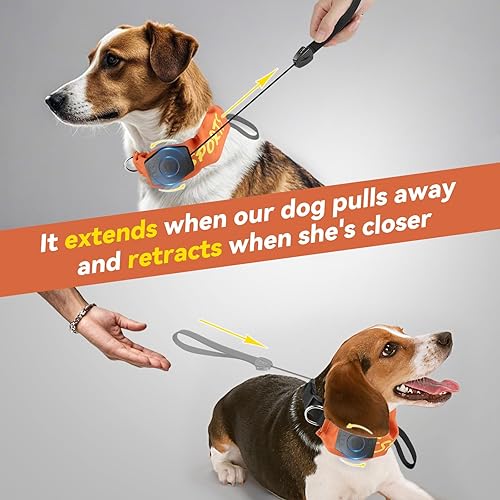 Miniatura 2 de Collar de perro 2 en 1 con correa retráctil para perros, collar ajustable para perros medianos a grandes