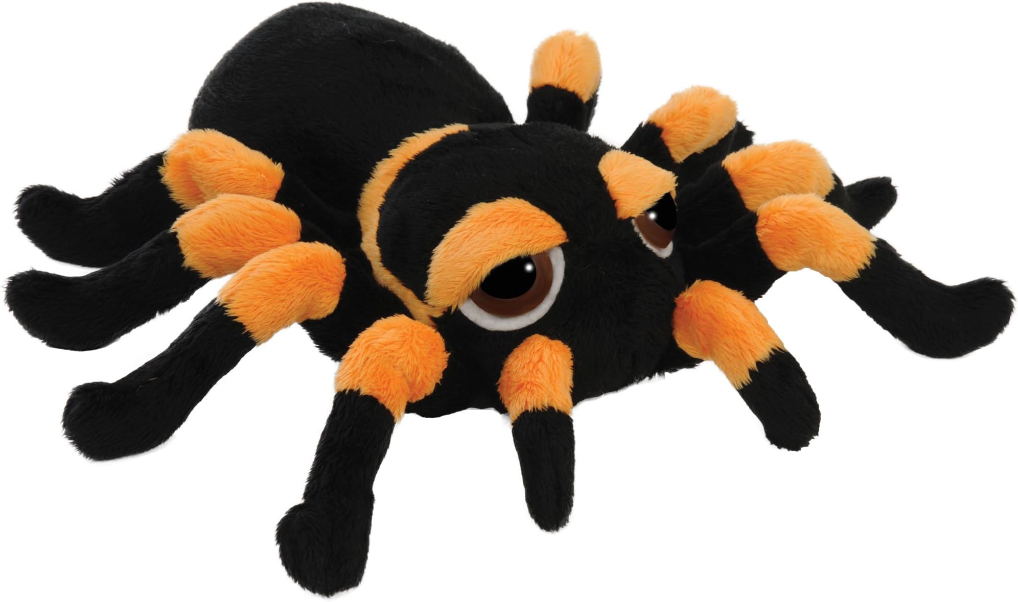 Suki Gifts International - Medium Spindra Tarantula Spider (14277)