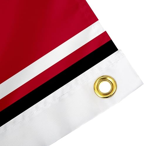 Miniatura 3 de Desert Cactus Bandera de la Universidad de Georgia Bulldogs UGA Dawgs banderines 100 poliéster para interiores y exteriores 3 x 5 diseño K