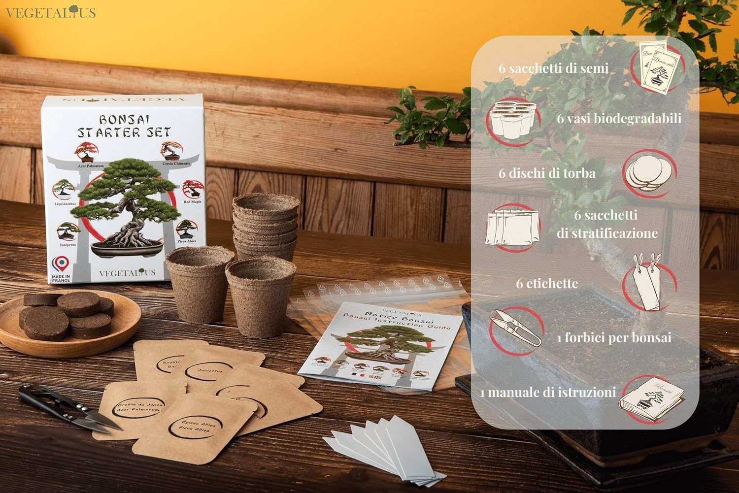 Komplettes Set mit 6 Bonsai Samen und Zubehör - Made in France - Eine originelle Geschenkidee für Männer und Frauen für Ihr Zuhause oder Ihren Garten