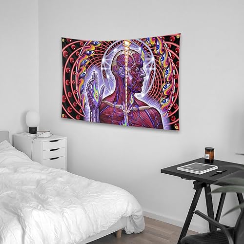 Miniatura 3 de Lateralus - Tapices para álbumes de música rock, 3 x 5 pies, tapiz de pared para dormitorio familiar, sala de estar