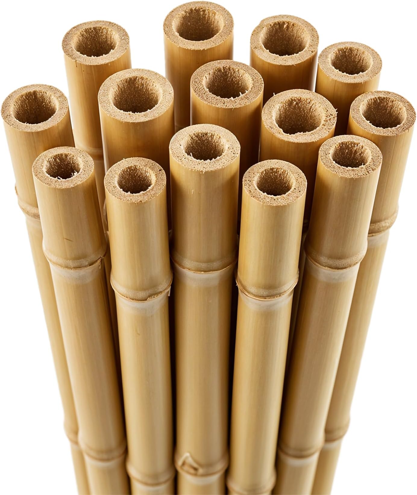 Blado Thick Bamboo Canes - Heavy Duty, Natural Garden Stakes, Strong Bamboo Sticks for Plant Support - Ideal for Gardens and Outdoor Spaces 2FT, 3FT, 4FT, 5FT, 6FT (30, 2ft, 6-8mm)