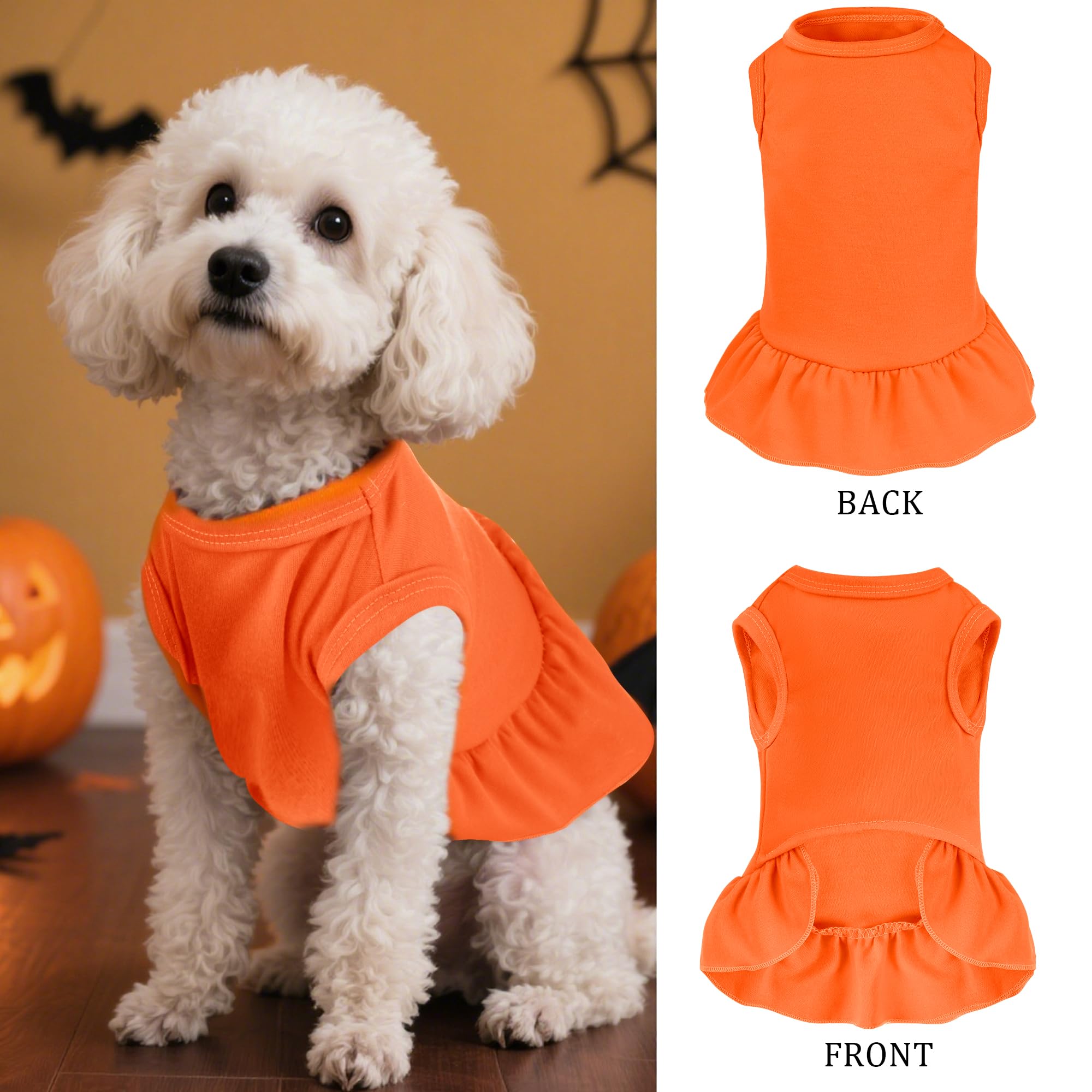View 3
