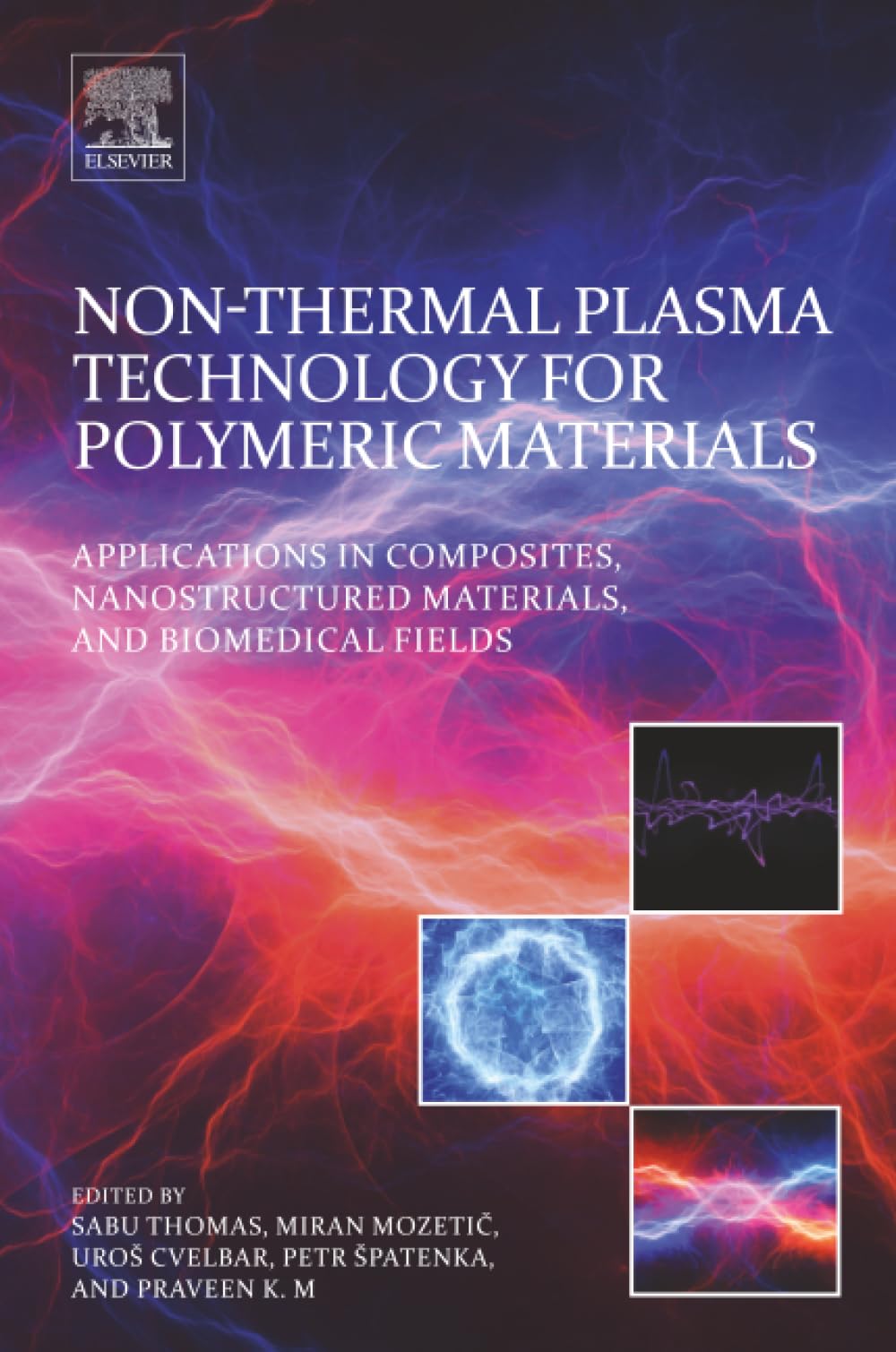 Buy Non-Thermal Plasma Technology for Polymeric Materials: Applications in Composites, Nanostructured Materials, and Biomedical Fields — BookShops.in