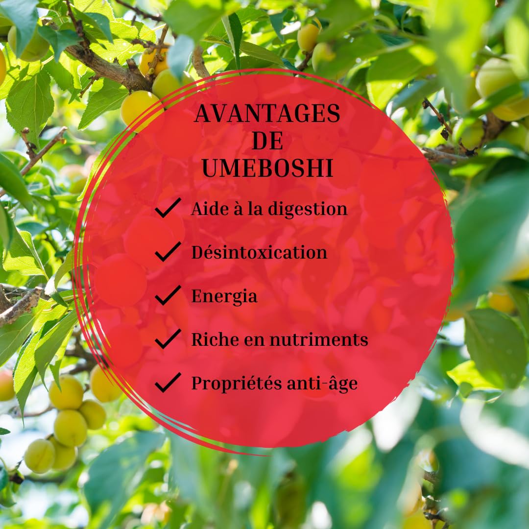 Umeboshi japanische Honig-eingelegte Umeboshi Groß. Nanko Ume Pflaumen, eingelegte Pflaumen Japan hergestellt in Japan 14,1 Unzen[Elegante Süße, Reduzierter Salzgehalt 3%] (400g(400g×1pack）)