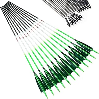 Linkboy Archery Carbon Arrows Hunting Practice Target Arrows Fluorescent with Removable Tip for Compound Recurve Long Bows, Spine 250 300 340 400 500 600 700 800, Pack of 6/12PCS