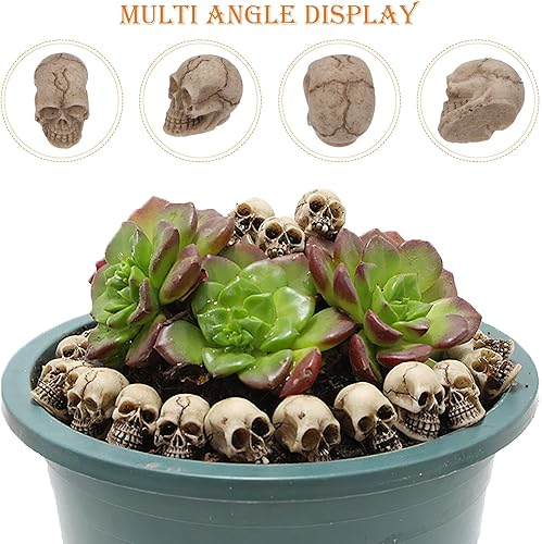 Miniatura 4 de ABOOFAN 20 piezas de calavera de Halloween, decoración de calavera de resina, mini calaveras humanas, cabeza de calavera para accesorios de